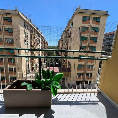 Luciano Queen'S Guest House Rome Extérieur photo